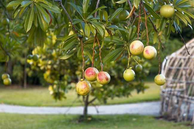 Promenade à Suan Luang avec Potter-046